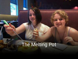 The Melting Pot book online